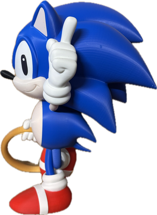 Sonic & ring model