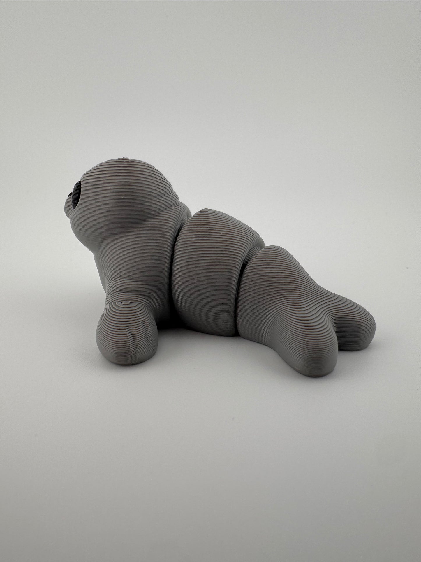 Seal Fidget - Clapping its way into your day