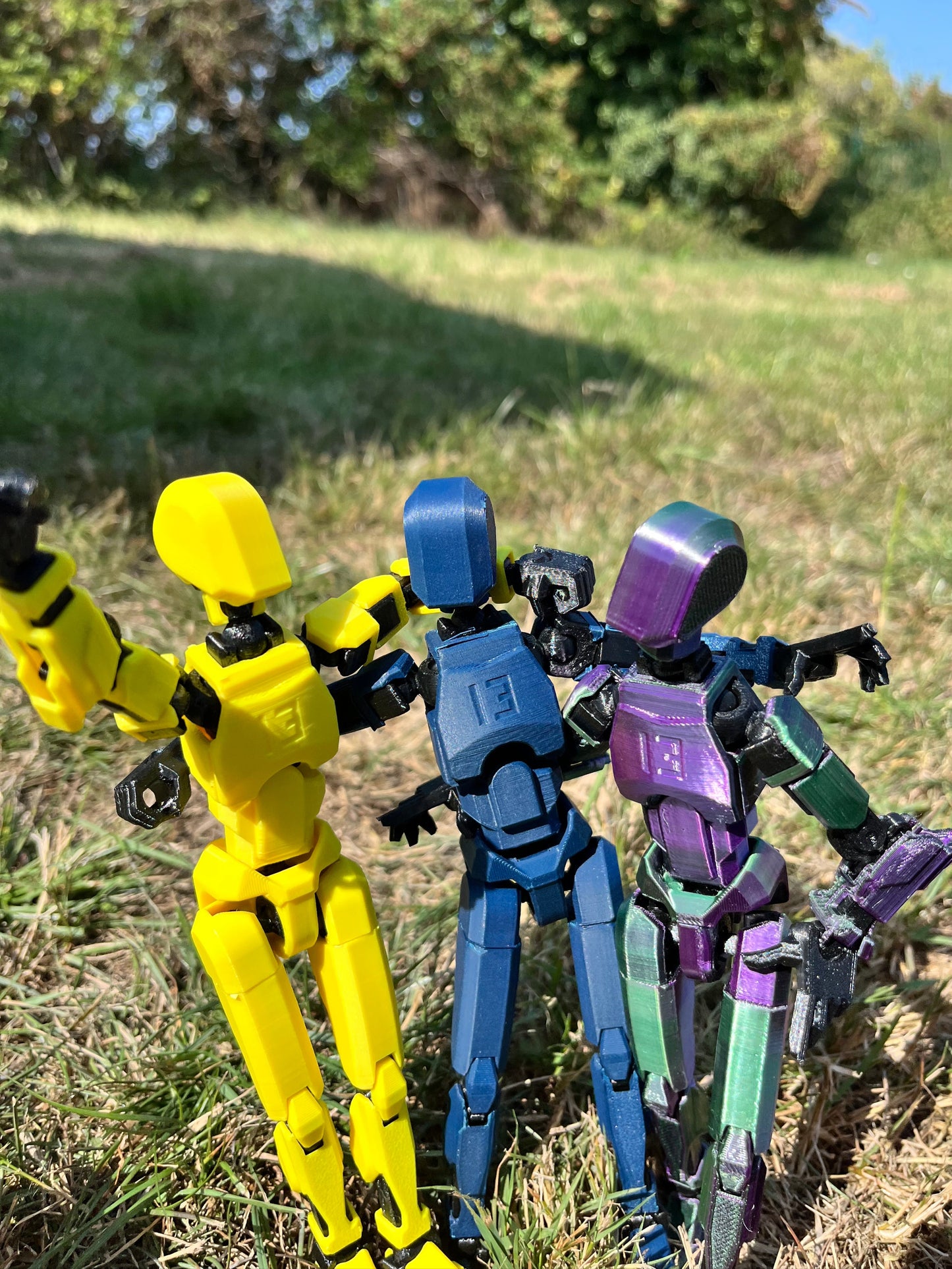 Dummy 13 model - Kit