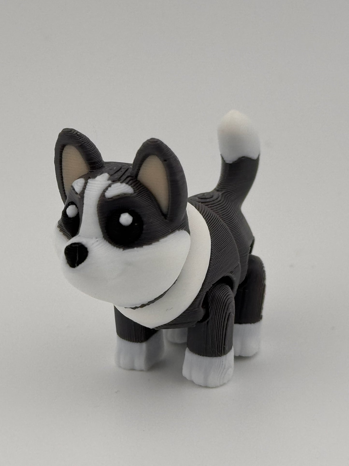 Husky Fidget - fluffy, fierce and full of fun