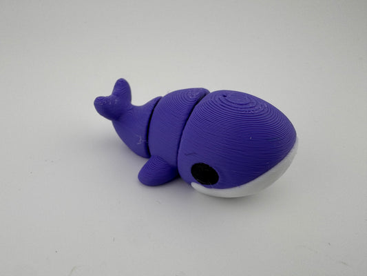 Whale Fidget Toy - Mammals of the sea