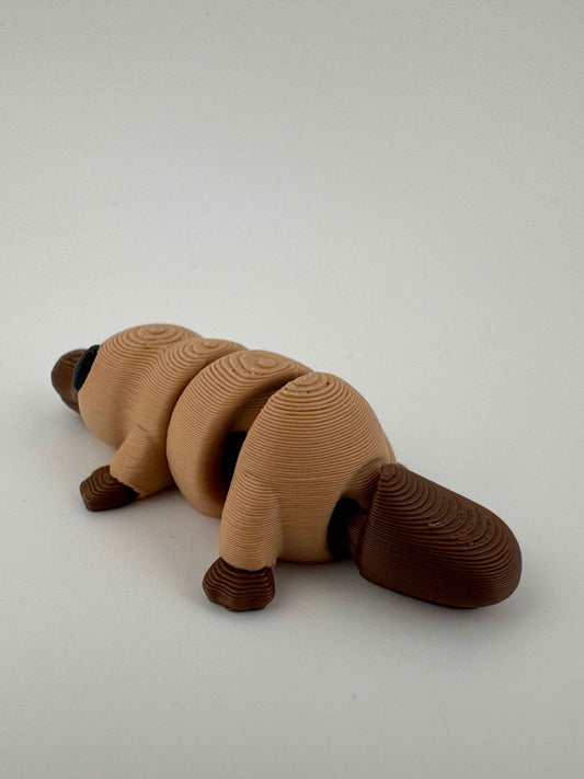 Platypus - The Ozzy semi-aquatic mammal