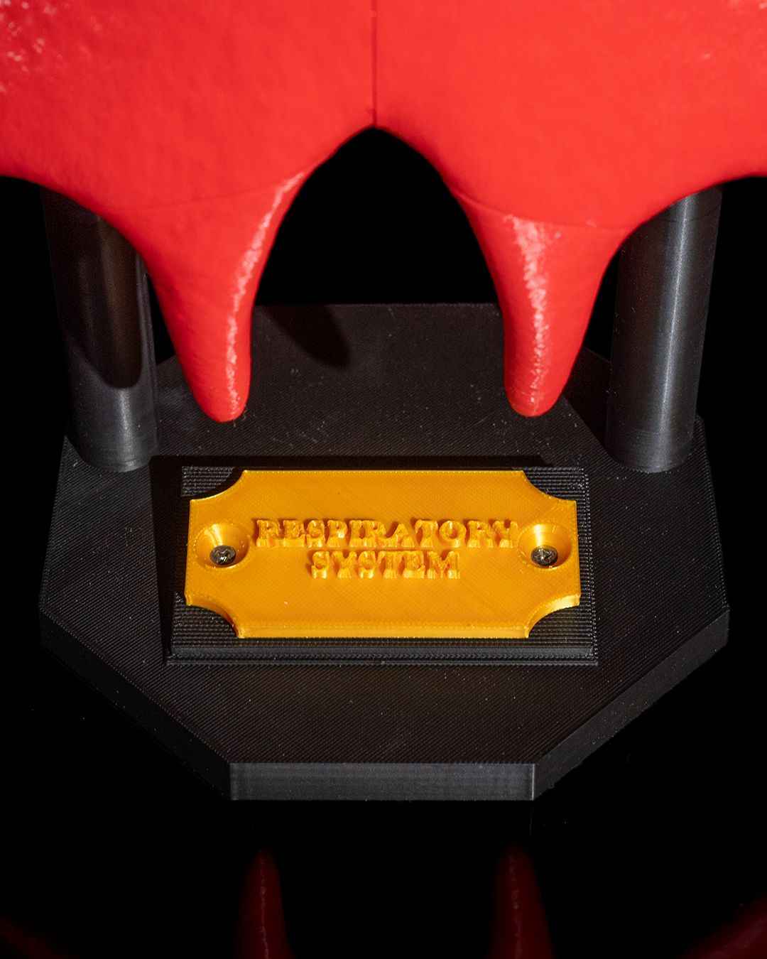 Lung Anatomical educational model