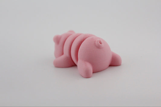 Pig Fidget - Part of the mud rolling community!