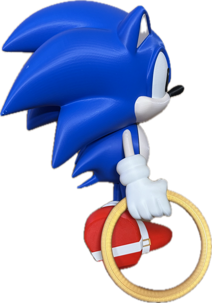 Sonic & ring model