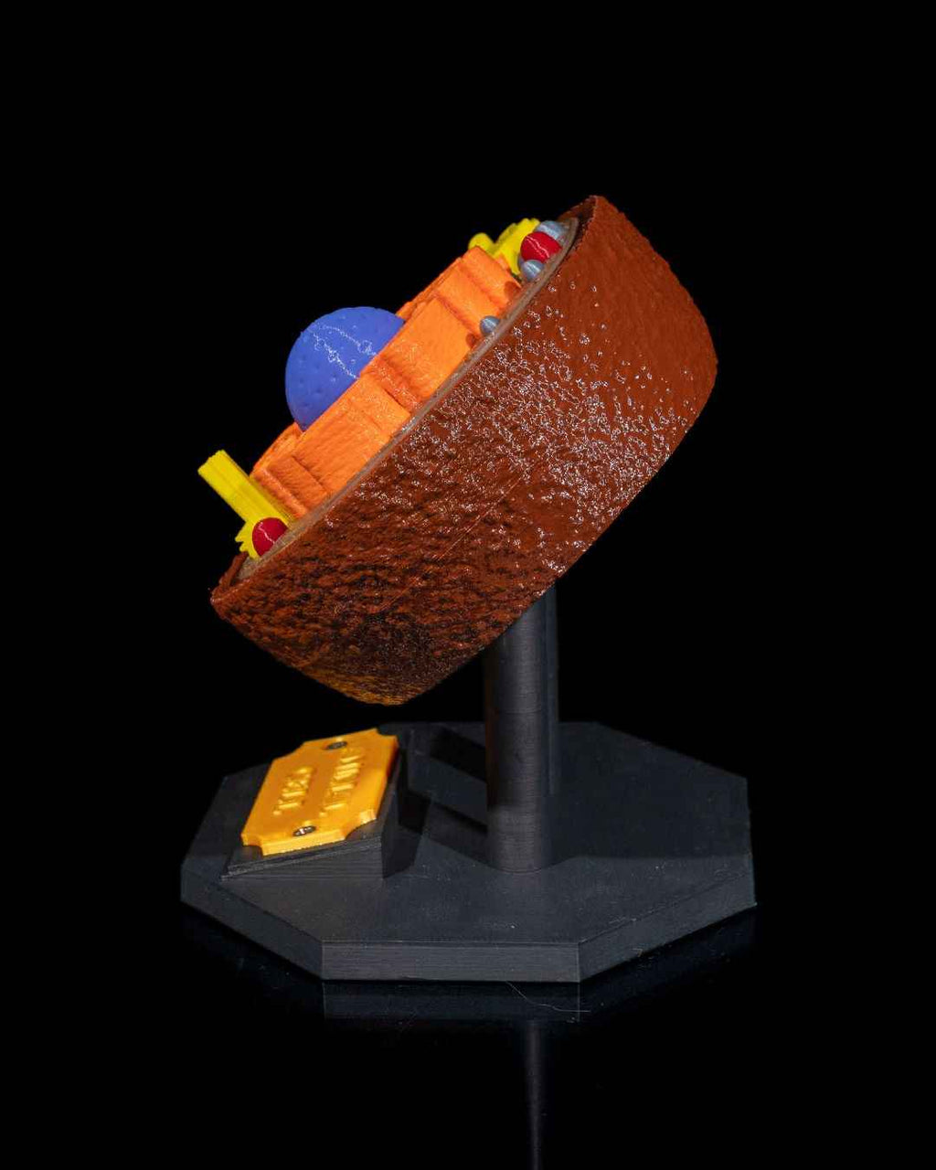 Animal Cell educational model - Myth & Motion by The Braysdown Workshop