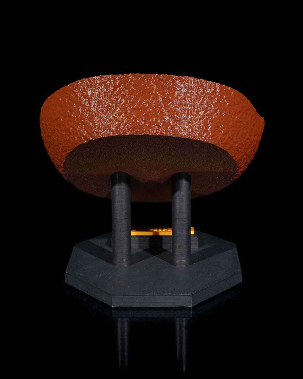 Animal Cell educational model - Myth & Motion by The Braysdown Workshop