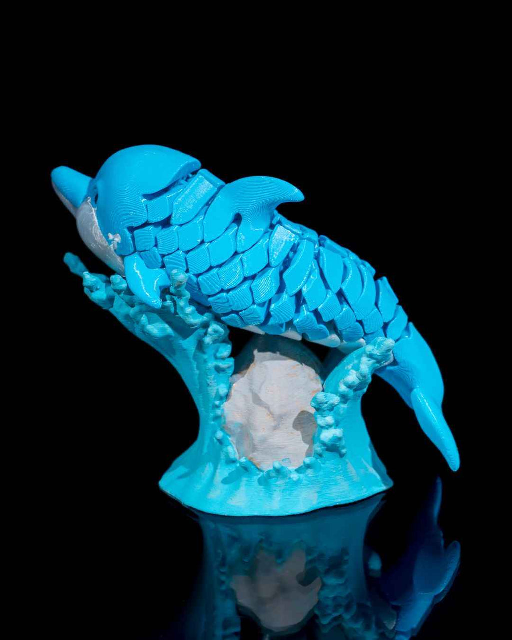 Flexi Dennis, The Dolphin Fidget toy with stand - Myth & Motion by The Braysdown Workshop