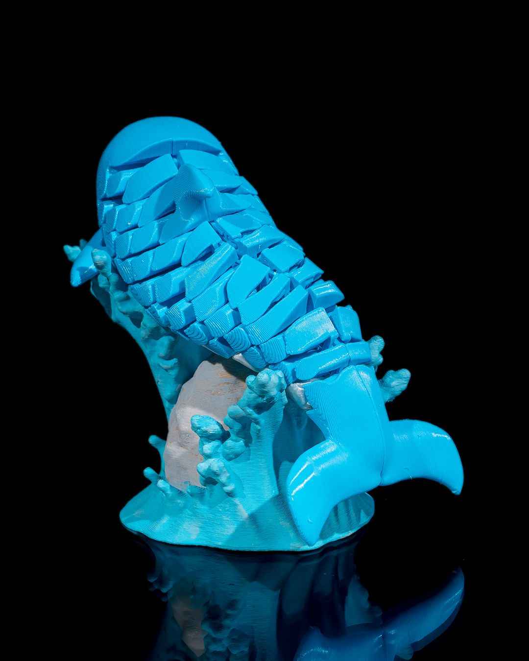Flexi Dennis, The Dolphin Fidget toy with stand - Myth & Motion by The Braysdown Workshop