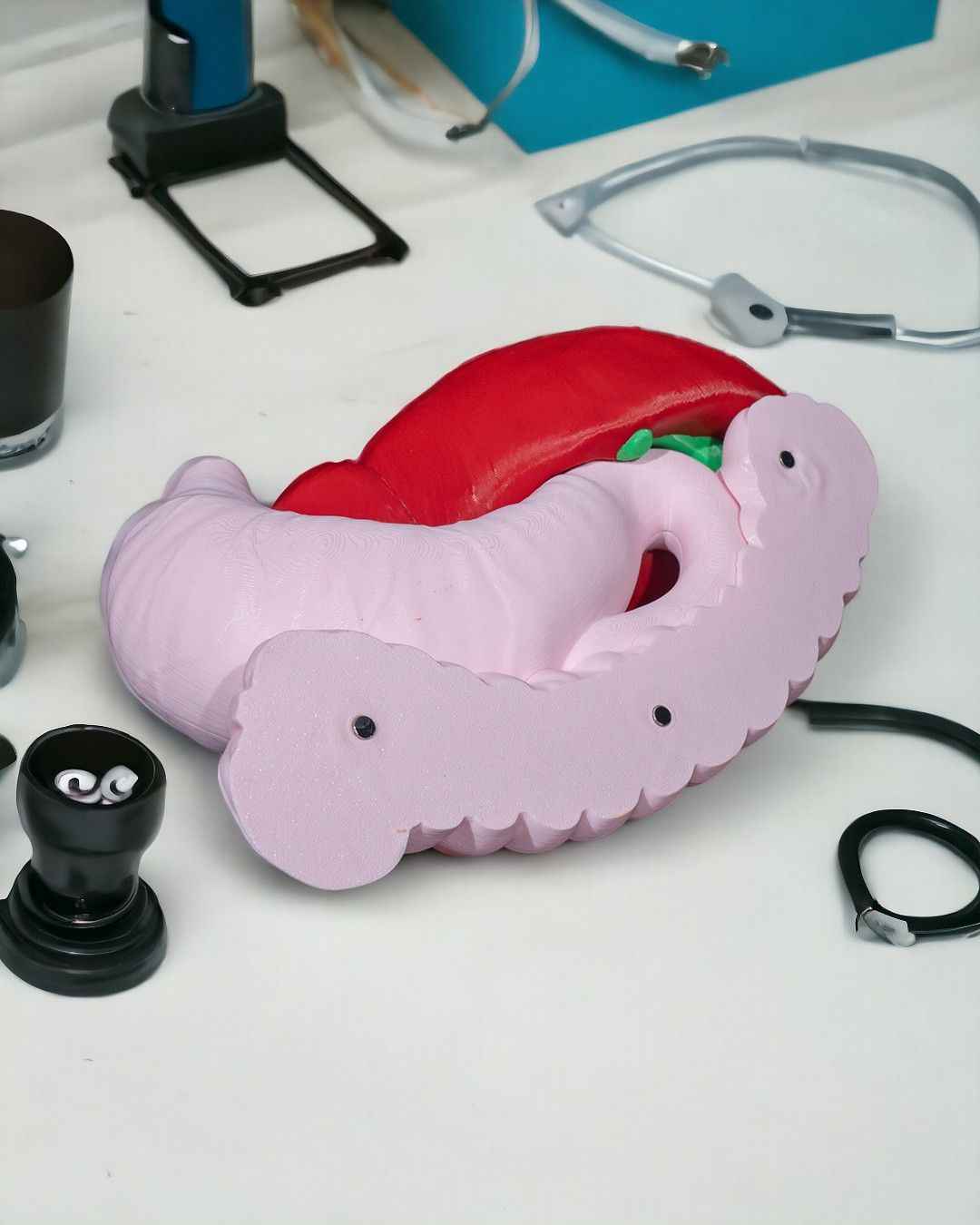 Digestive System Anatomical educational model - Myth & Motion by The Braysdown Workshop