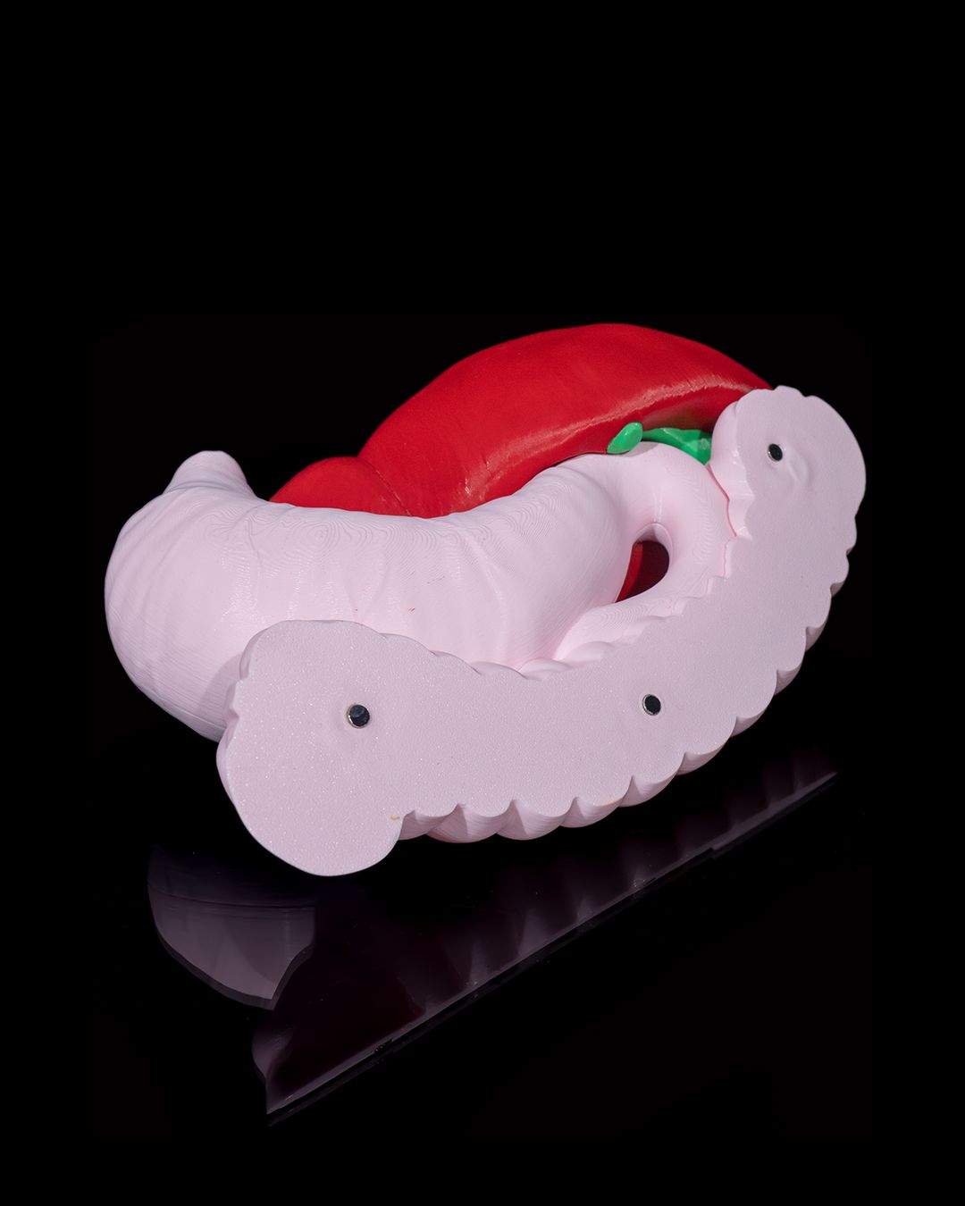 Digestive System Anatomical educational model