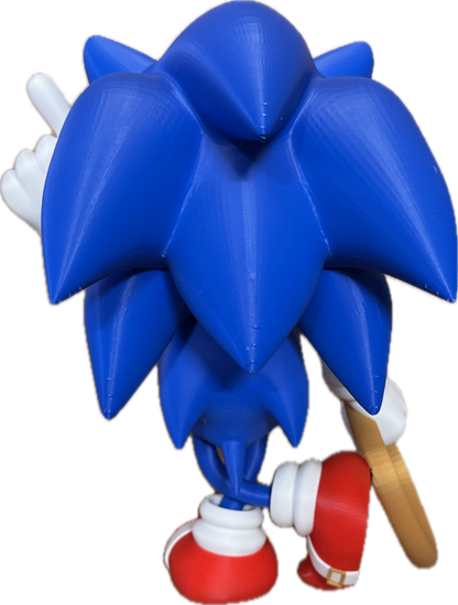 Sonic & ring model