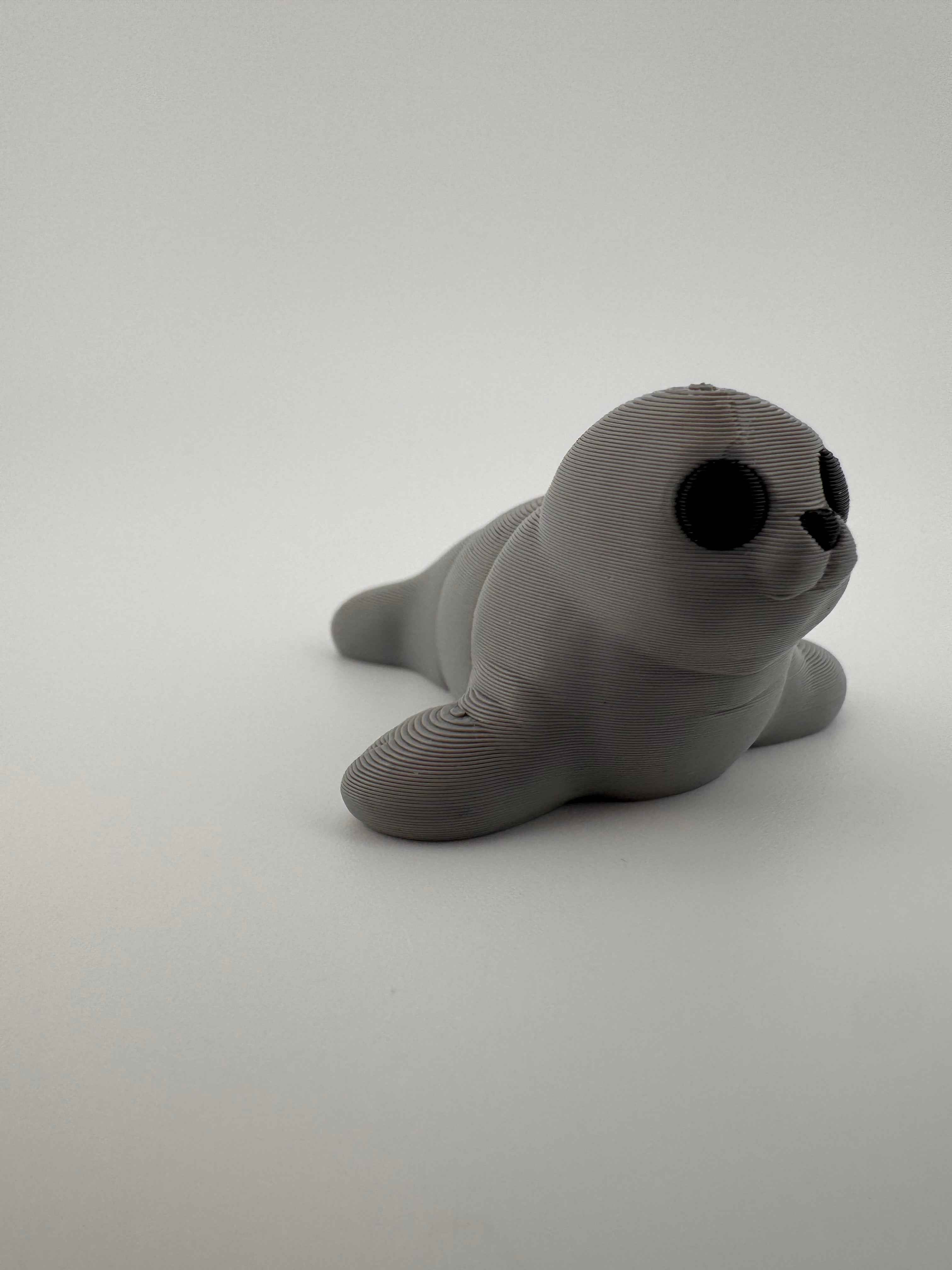 Seal Fidget - Clapping its way into your day - Myth & Motion by The Braysdown Workshop