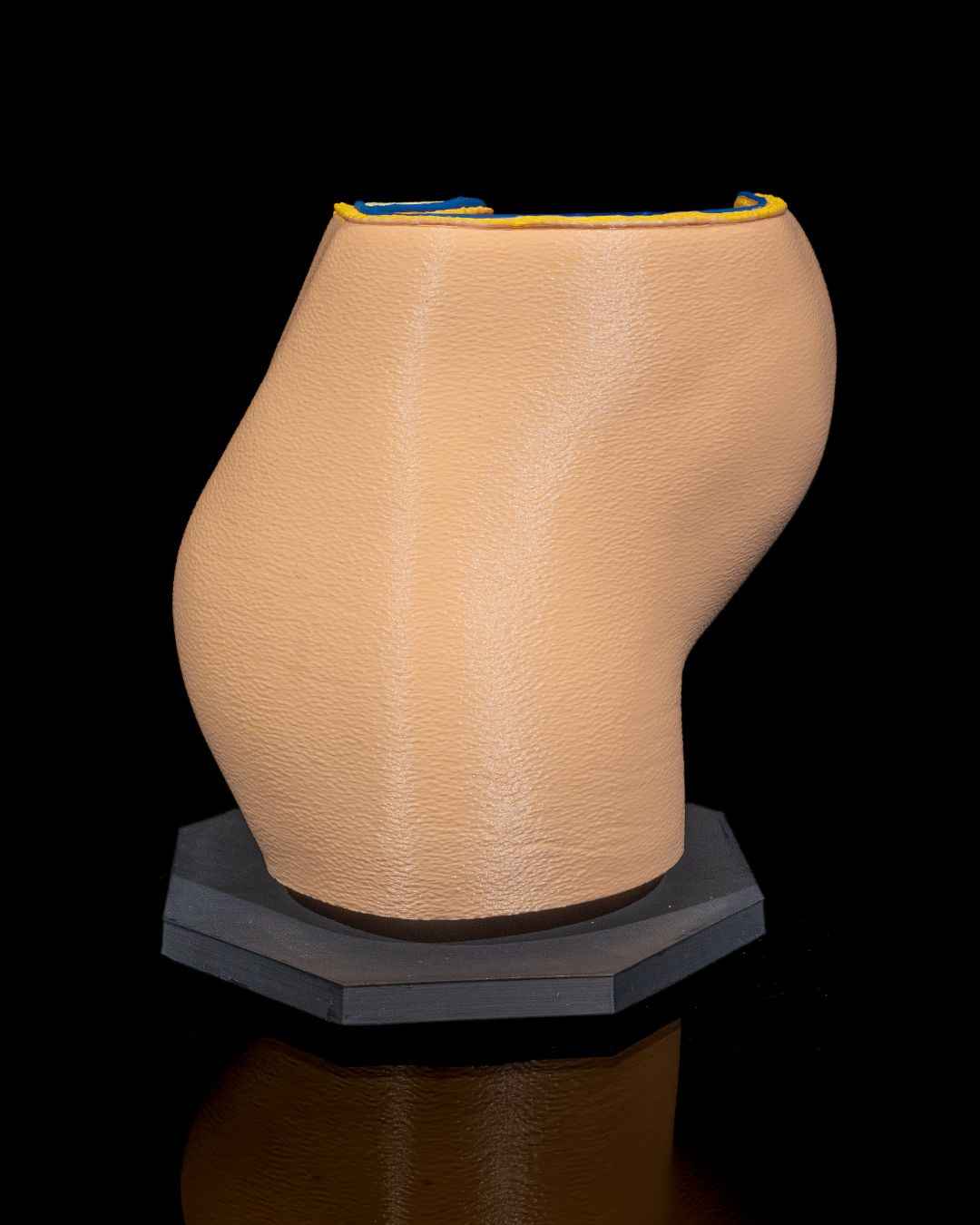 Female Reproduction educational model - Myth & Motion by The Braysdown Workshop