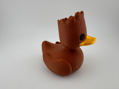 Superhero Duck - Keeping a watchful eye