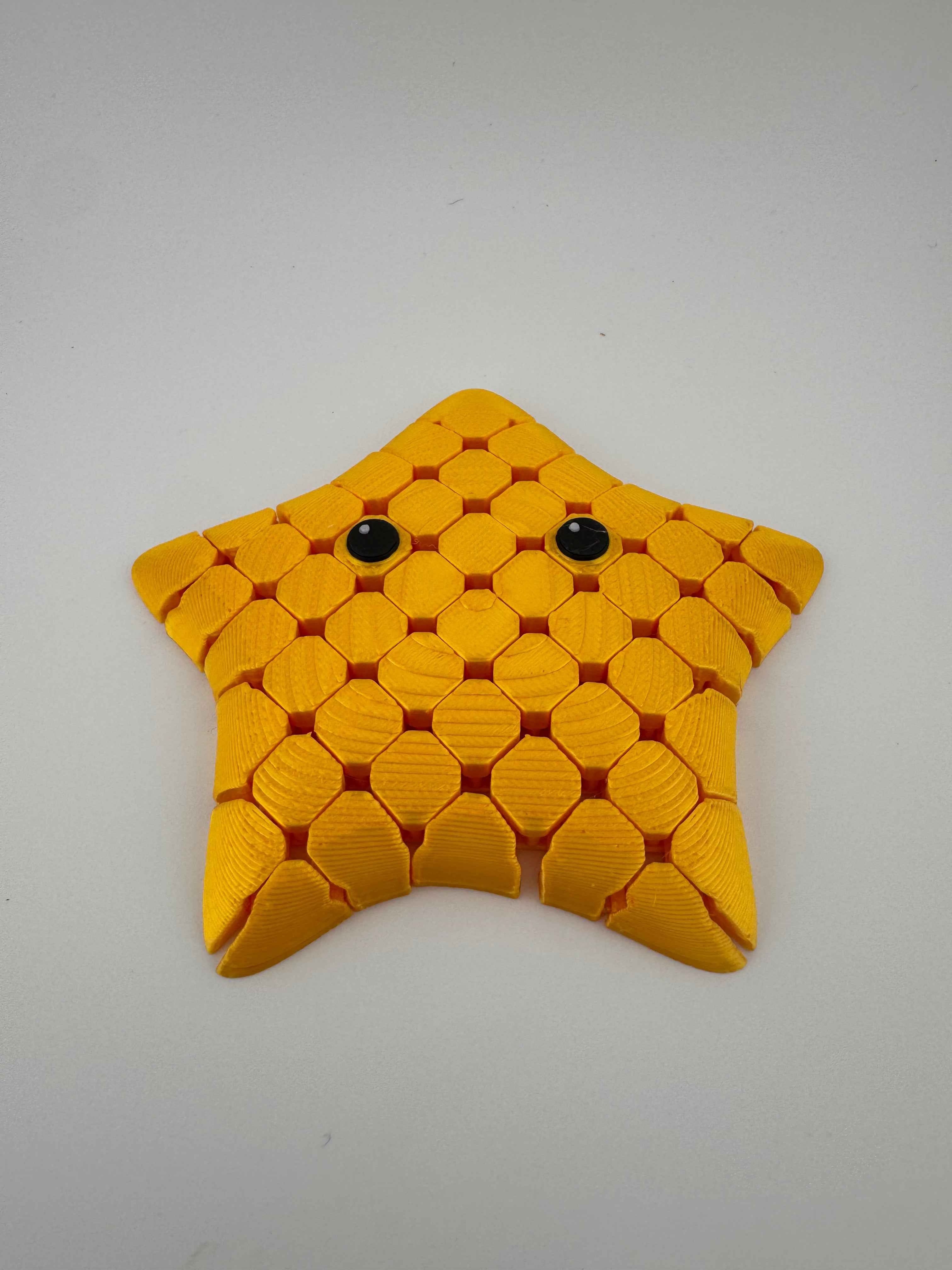 Pocket Flexi Starfish - Myth & Motion by The Braysdown Workshop