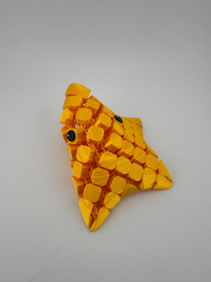 Pocket Flexi Starfish