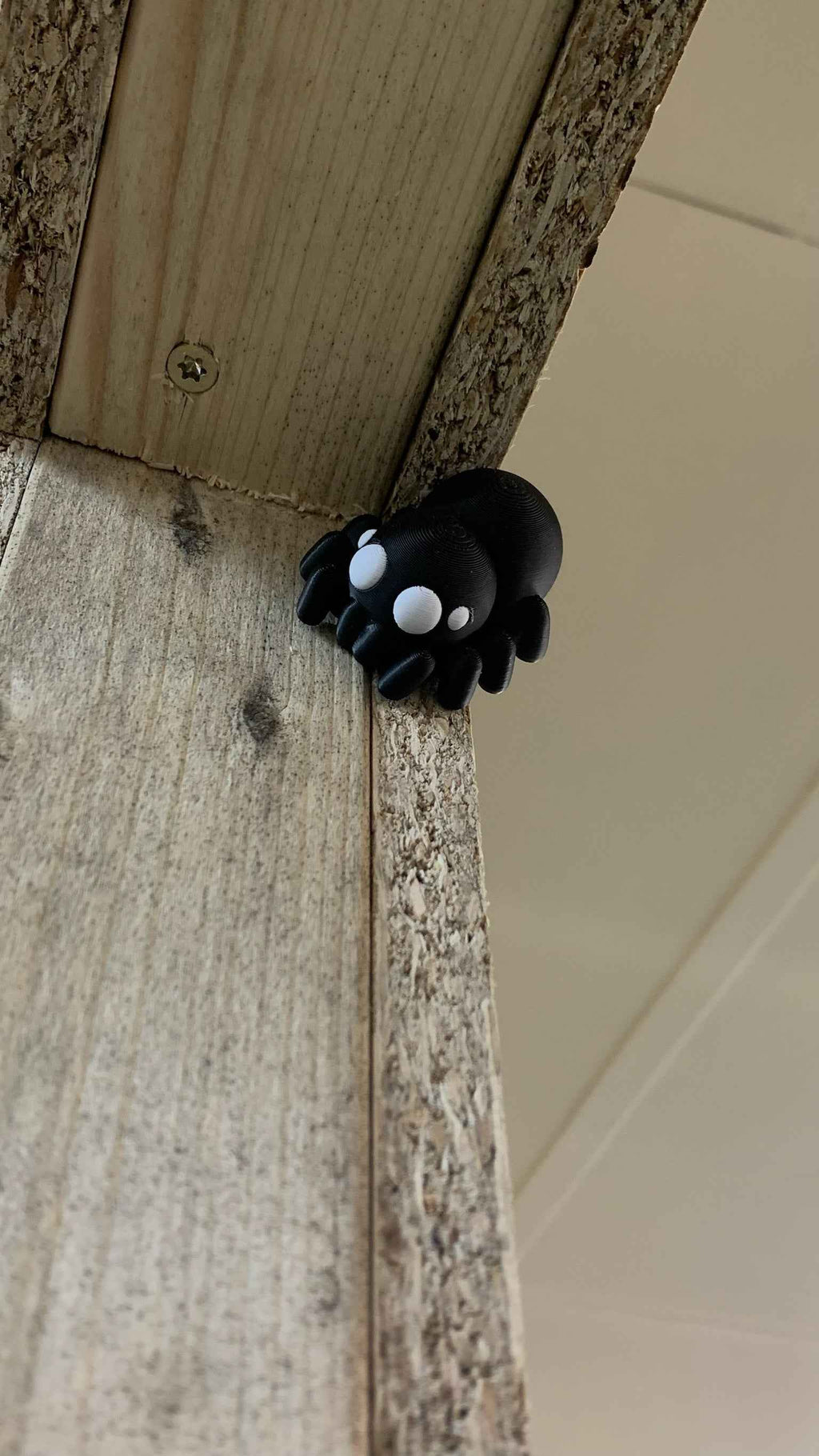 Spider Fidget - Web of cuteness - Myth & Motion by The Braysdown Workshop