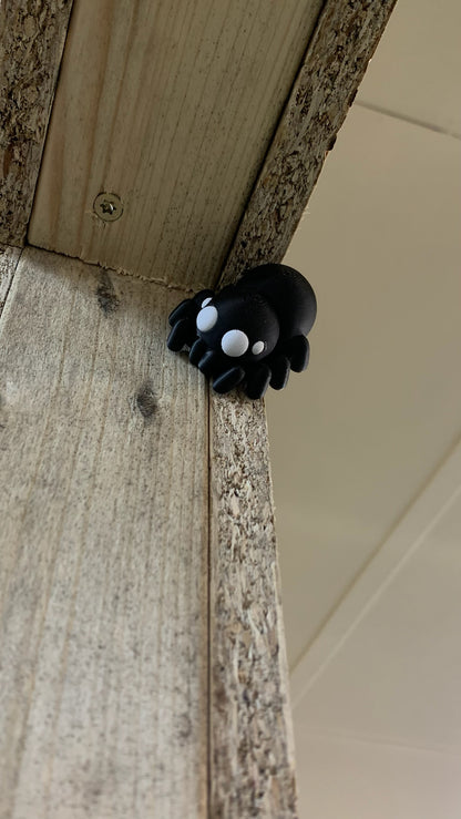 Spider Fidget - Web of cuteness
