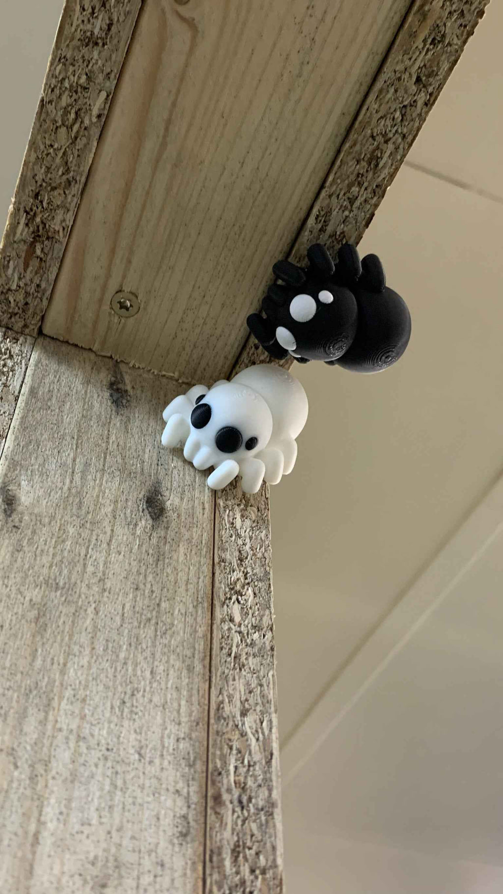 Spider Fidget - Web of cuteness - Myth & Motion by The Braysdown Workshop