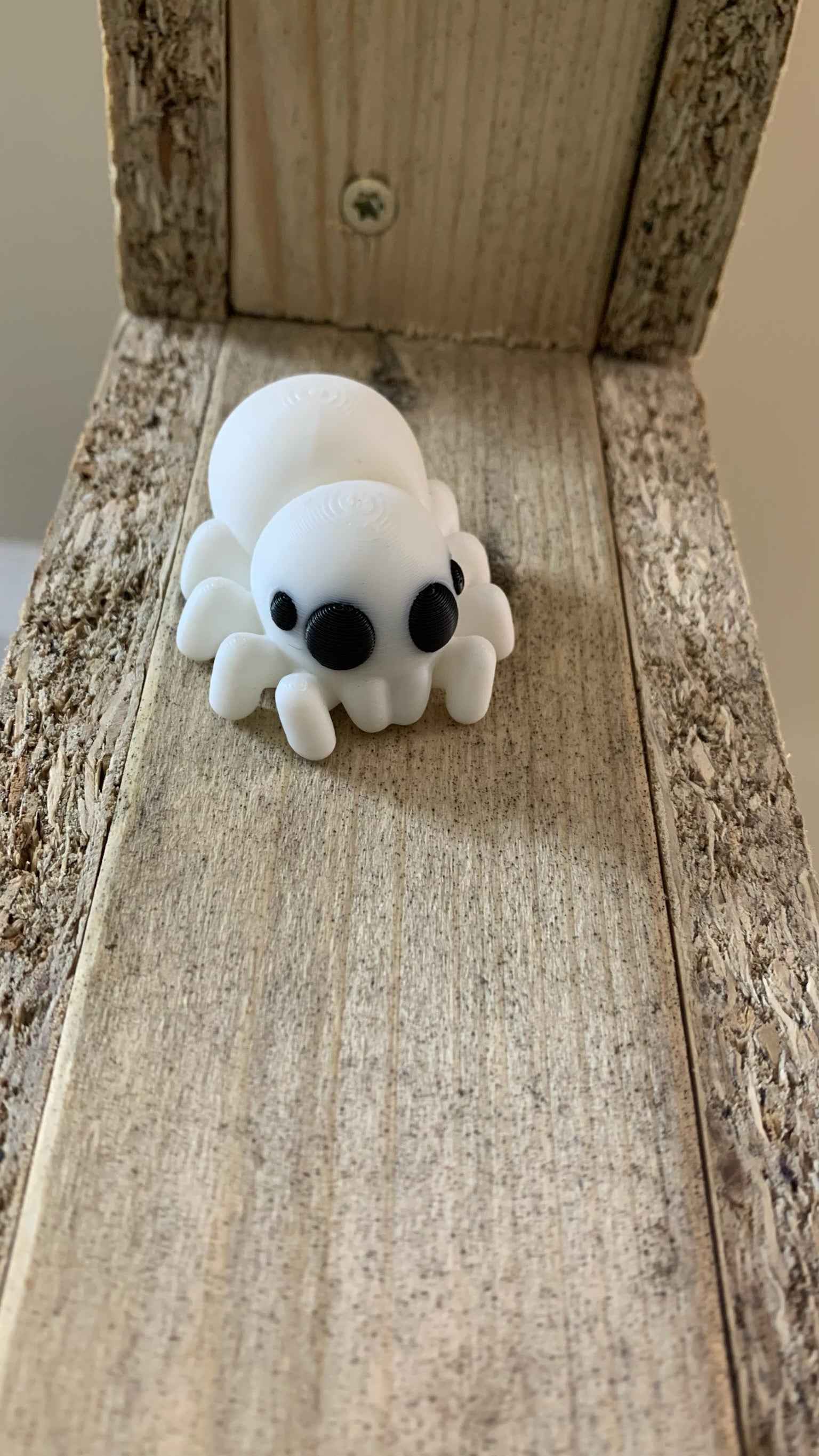 Spider Fidget - Web of cuteness - Myth & Motion by The Braysdown Workshop
