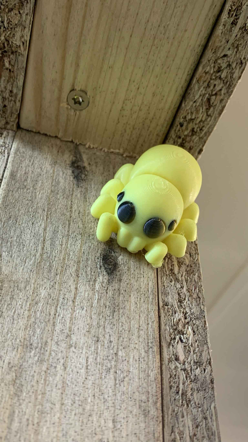 Spider Fidget - Web of cuteness - Myth & Motion by The Braysdown Workshop