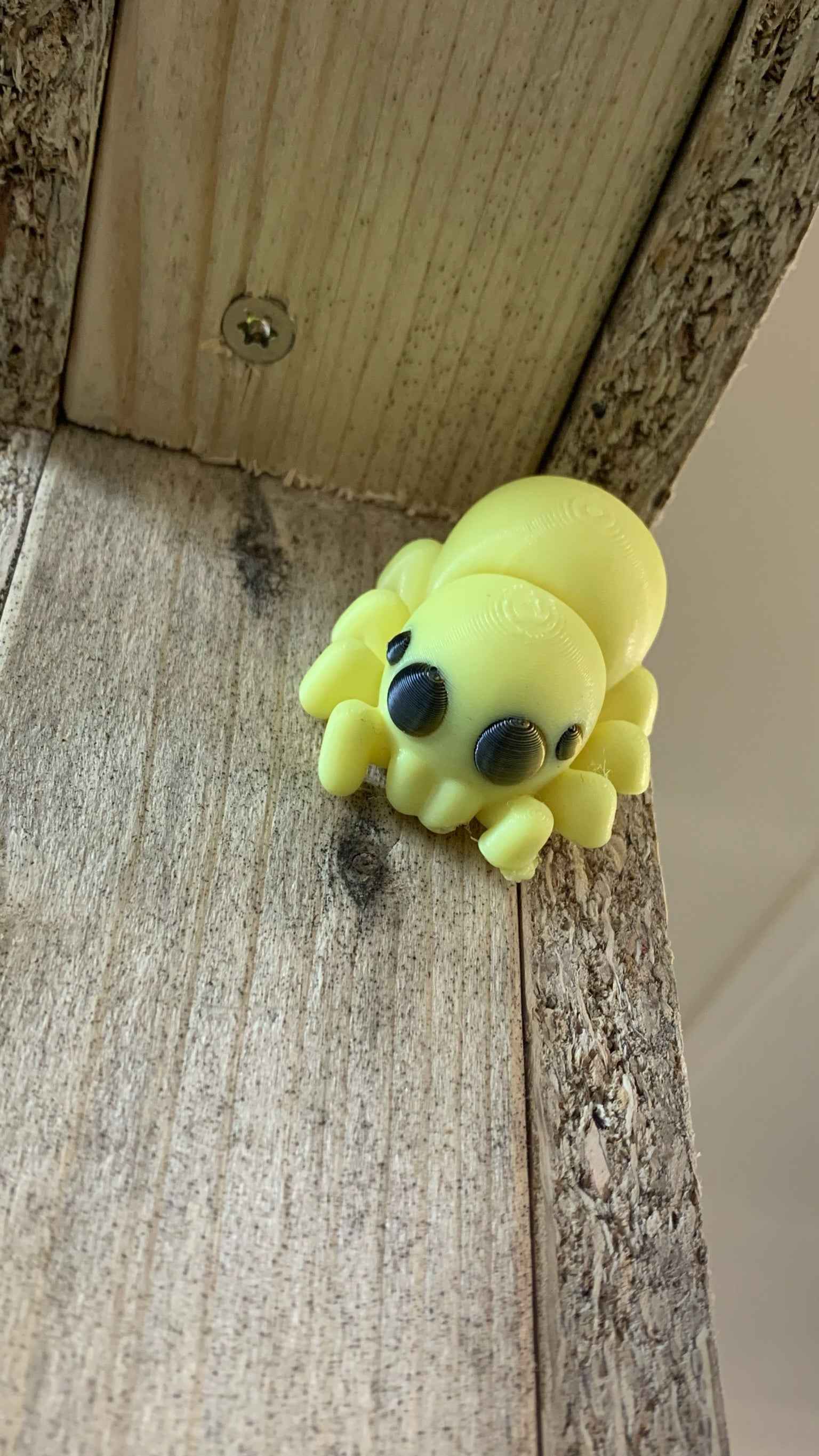 Spider Fidget - Web of cuteness - Myth & Motion by The Braysdown Workshop