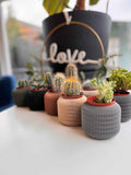 Malibu plant pot - Myth & Motion by The Braysdown Workshop