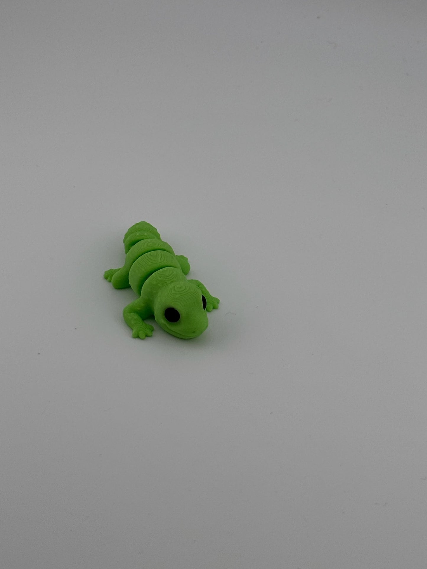 Leopard Gecko Fidget - The desert's cutest crawler