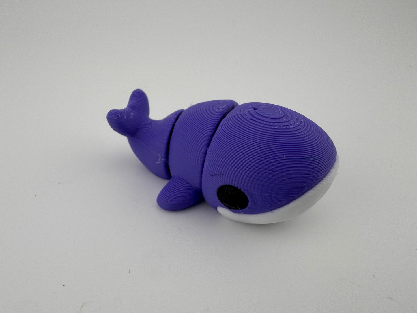 Whale Fidget Toy - Mammals of the sea