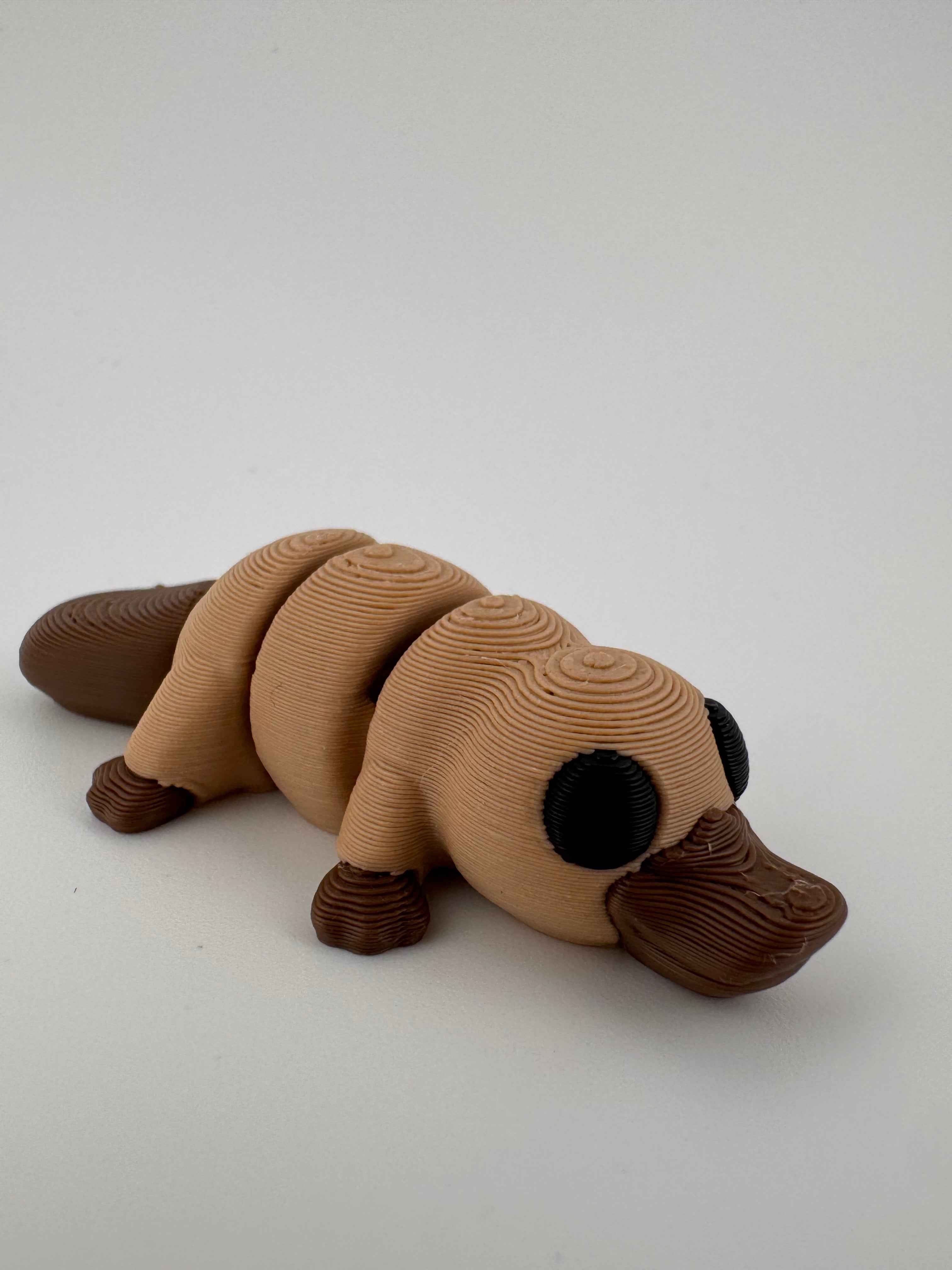 Platypus - The Ozzy semi-aquatic mammal - Myth & Motion by The Braysdown Workshop