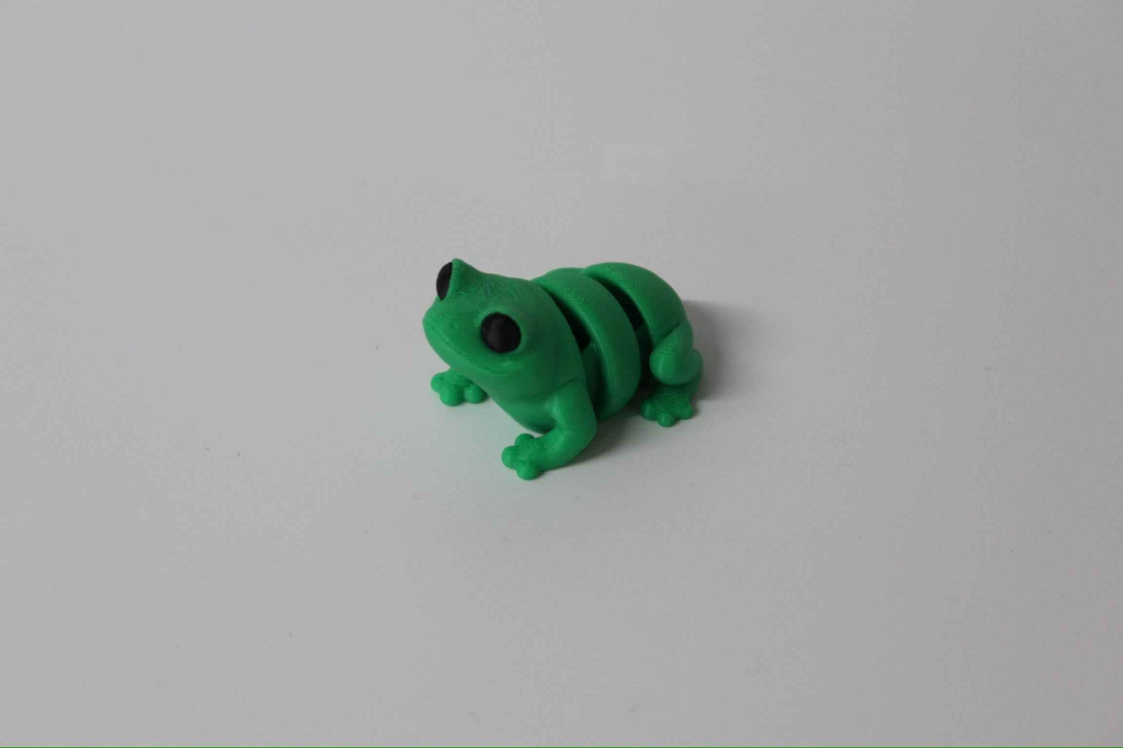Frog Fidget - Your new pond side pal - Myth & Motion by The Braysdown Workshop