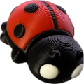 Ladybird fidget - Super Cute ladylike - Myth & Motion by The Braysdown Workshop