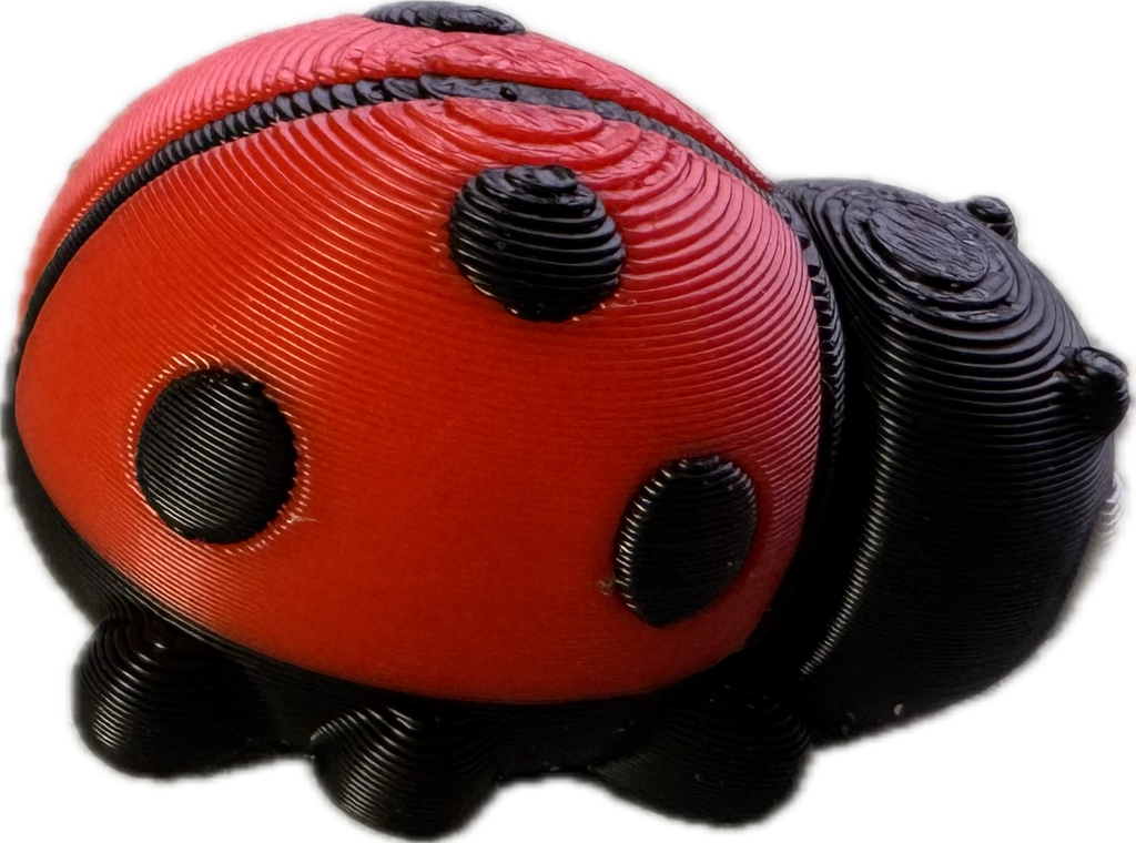 Ladybird fidget - Super Cute ladylike - Myth & Motion by The Braysdown Workshop