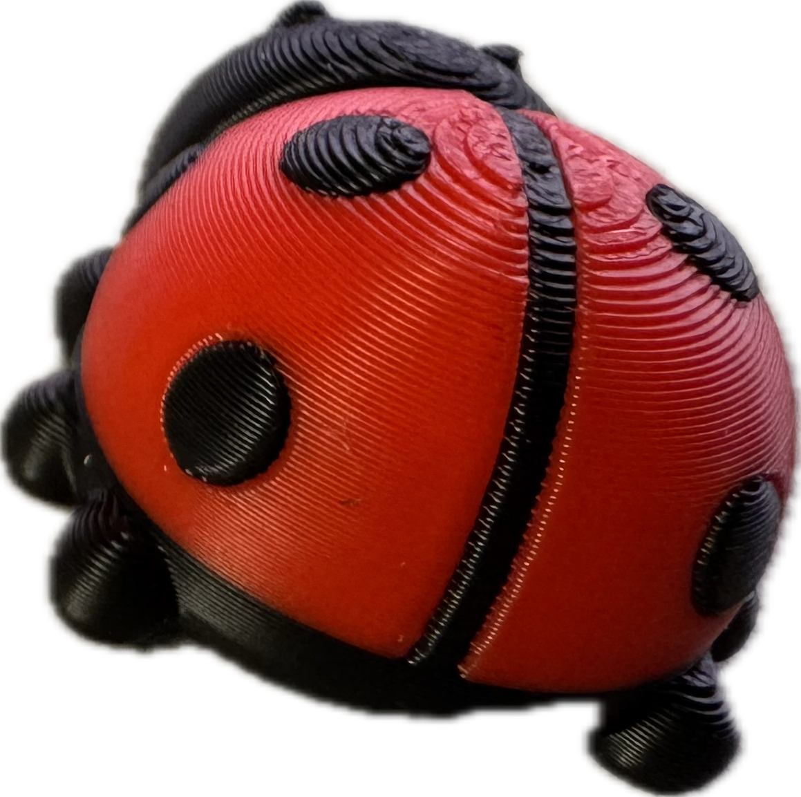 Ladybird fidget - Super Cute ladylike - Myth & Motion by The Braysdown Workshop