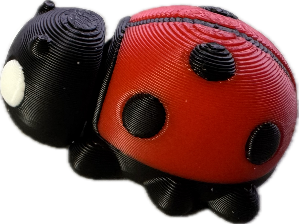 Ladybird fidget - Super Cute ladylike - Myth & Motion by The Braysdown Workshop