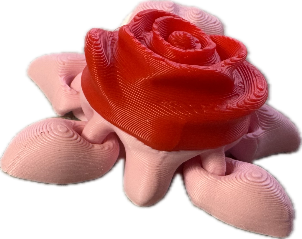 Rose Turtle Fidget - Valentines / Loveness - Myth & Motion by The Braysdown Workshop