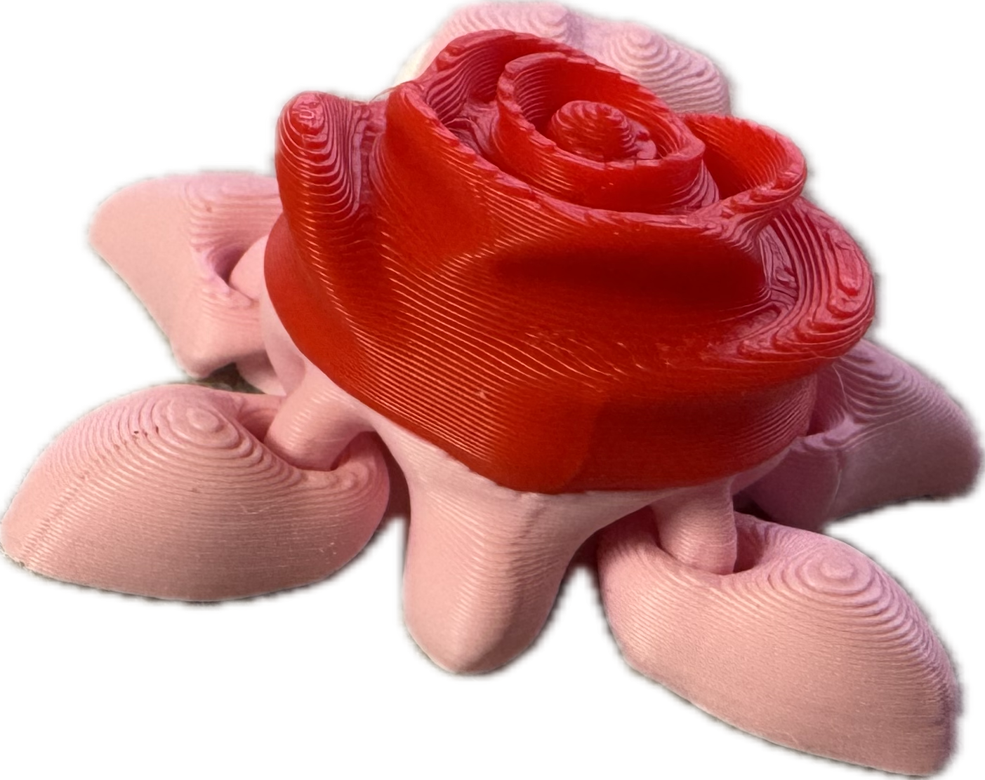 Rose Turtle Fidget - Valentines / Loveness - Myth & Motion by The Braysdown Workshop