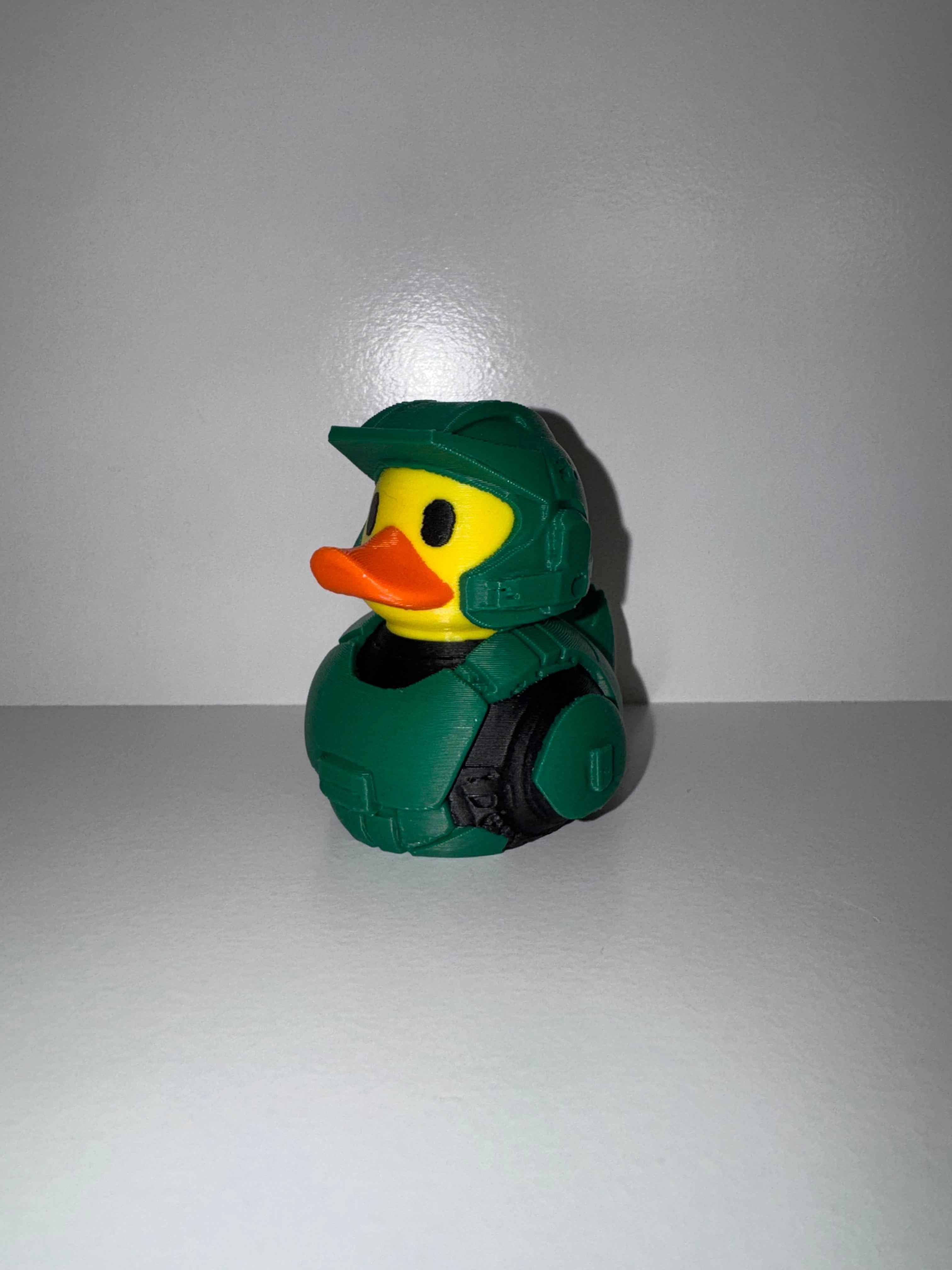 Superhero Duck - Keeping a watchful eye - Myth & Motion by The Braysdown Workshop