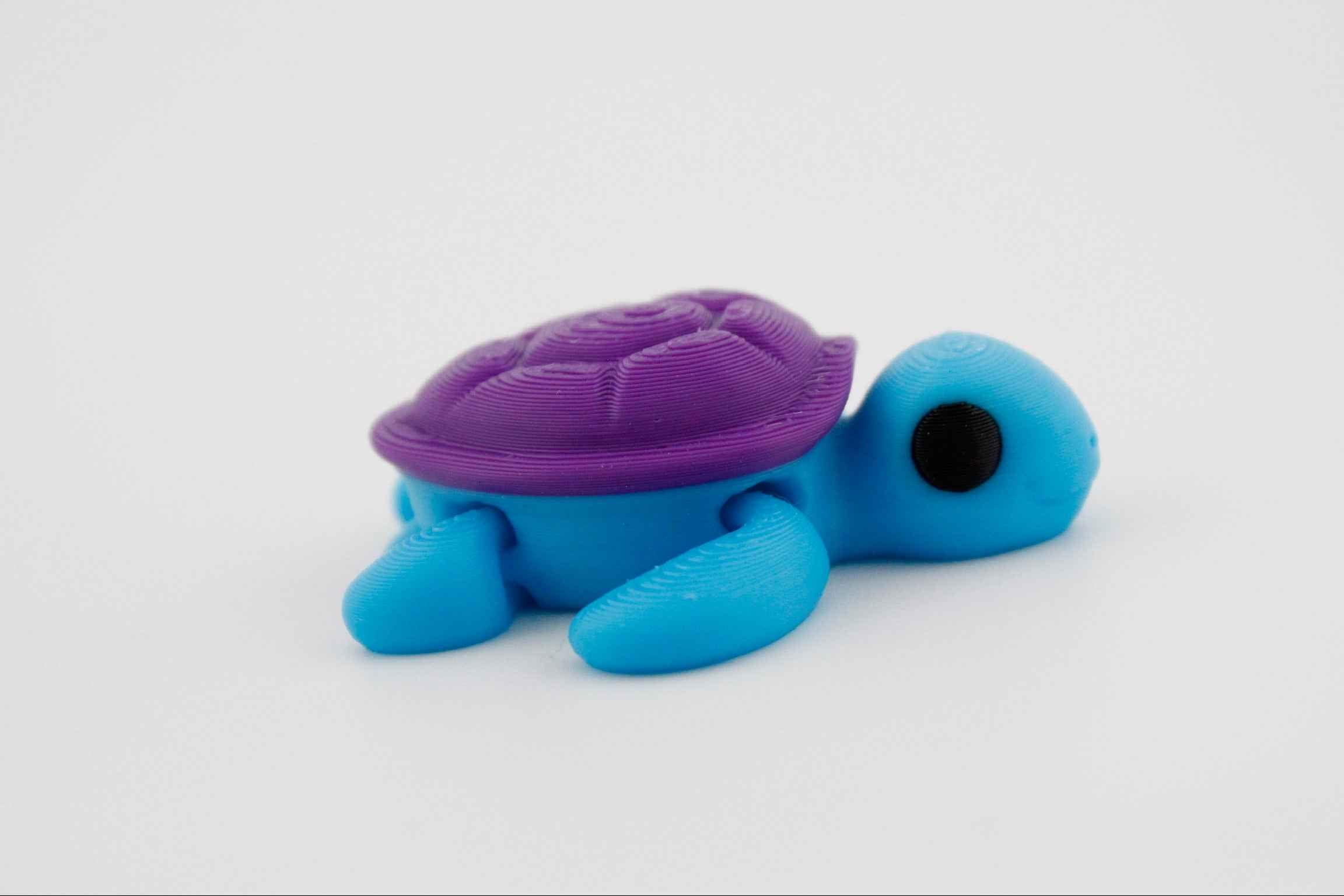 Turtle fidget - Part of our under the sea collection - Myth & Motion by The Braysdown Workshop