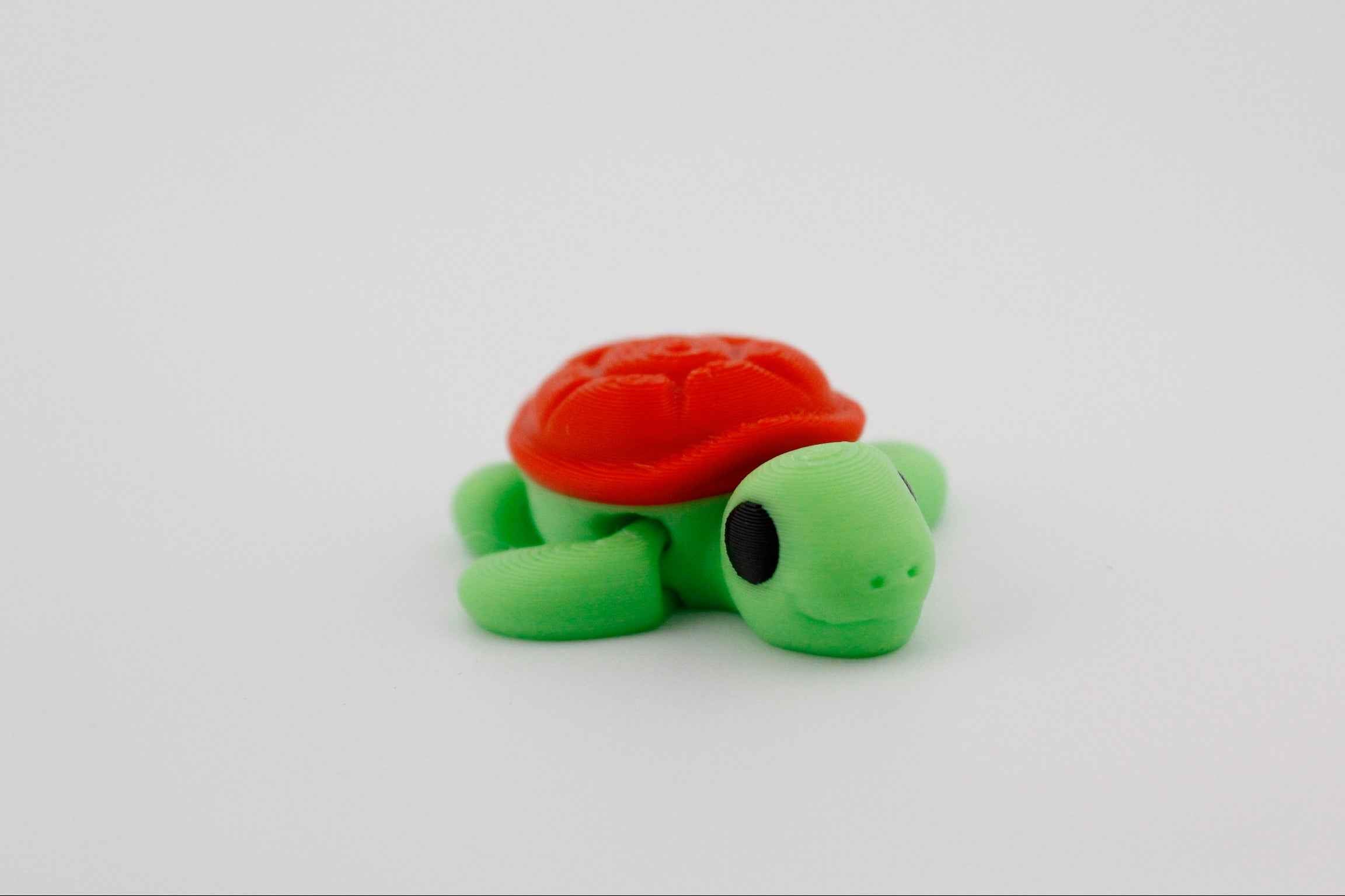 Turtle fidget - Part of our under the sea collection - Myth & Motion by The Braysdown Workshop