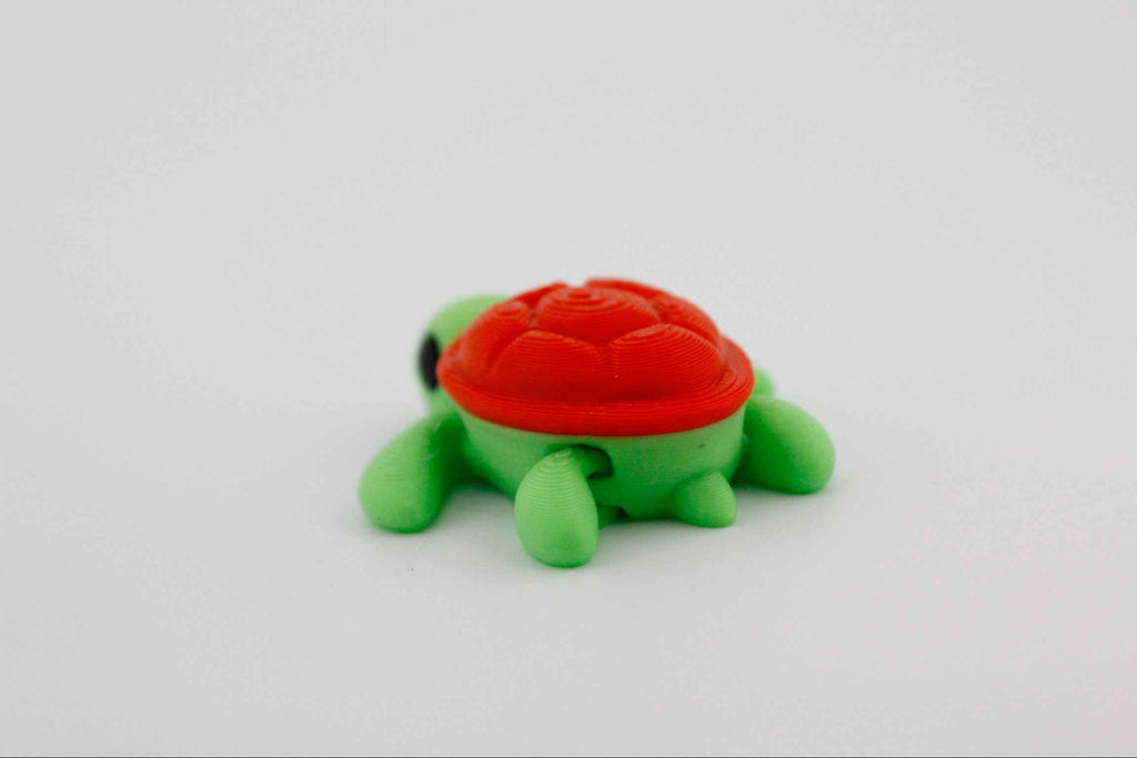 Turtle fidget - Part of our under the sea collection - Myth & Motion by The Braysdown Workshop