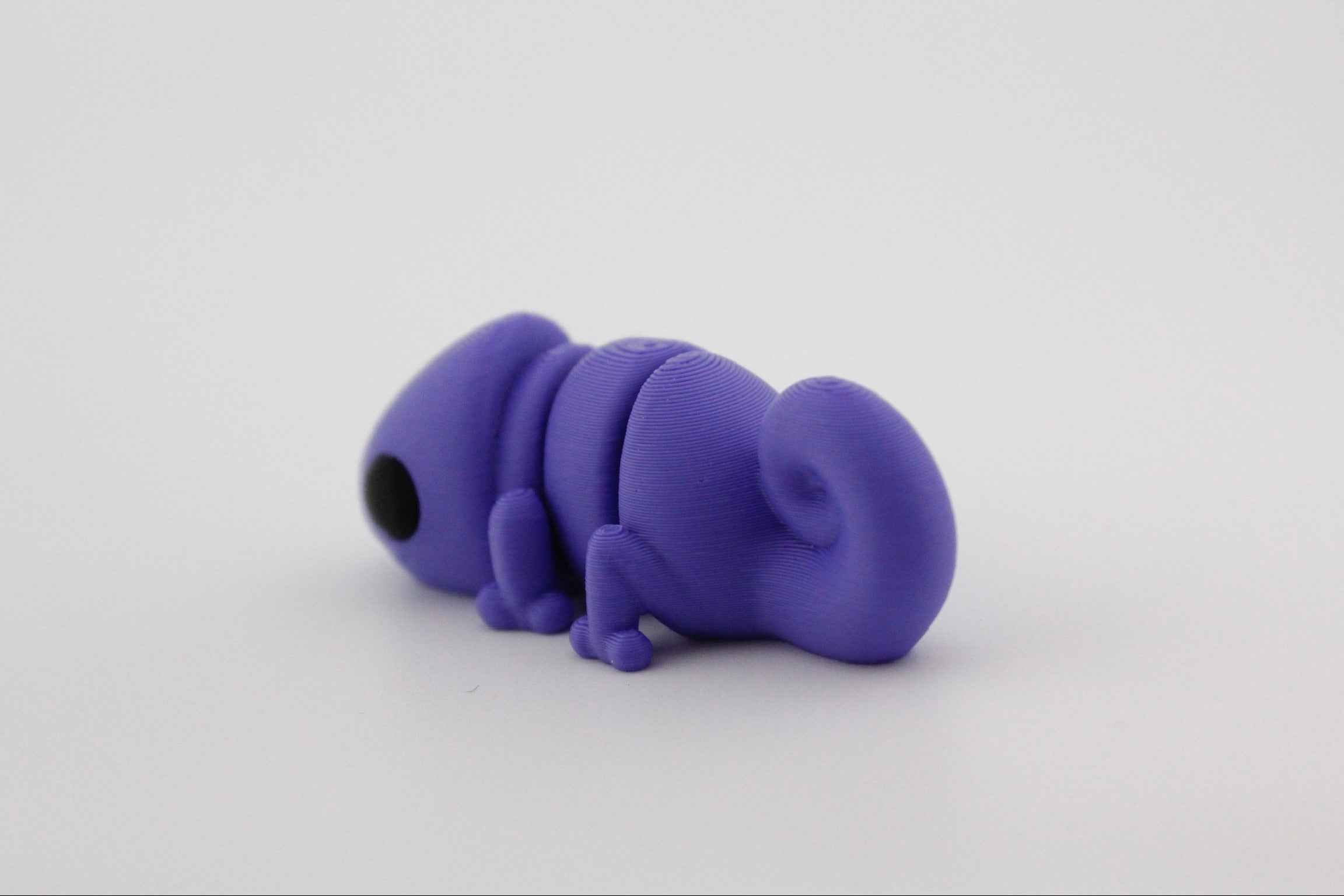 Chameleon Fidget - They may try and hide from you... - Myth & Motion by The Braysdown Workshop