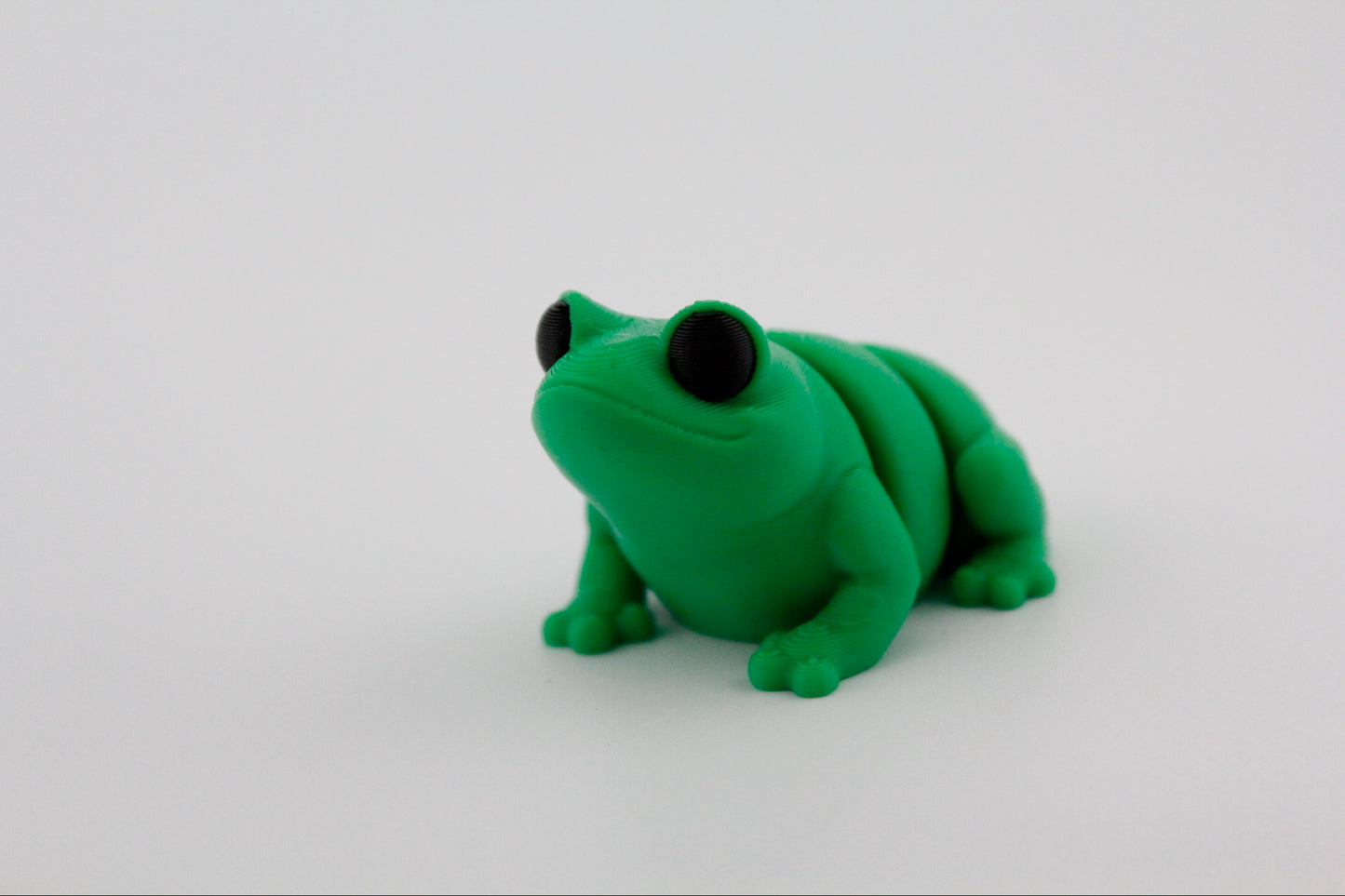 Frog Fidget - Your new pond side pal