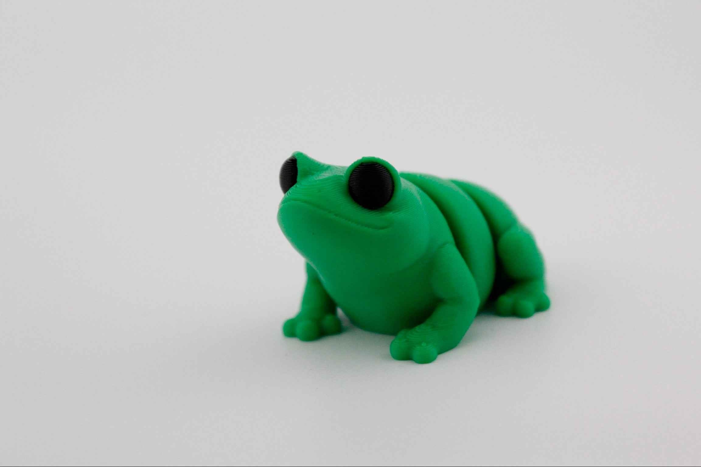 Frog Fidget - Your new pond side pal - Myth & Motion by The Braysdown Workshop