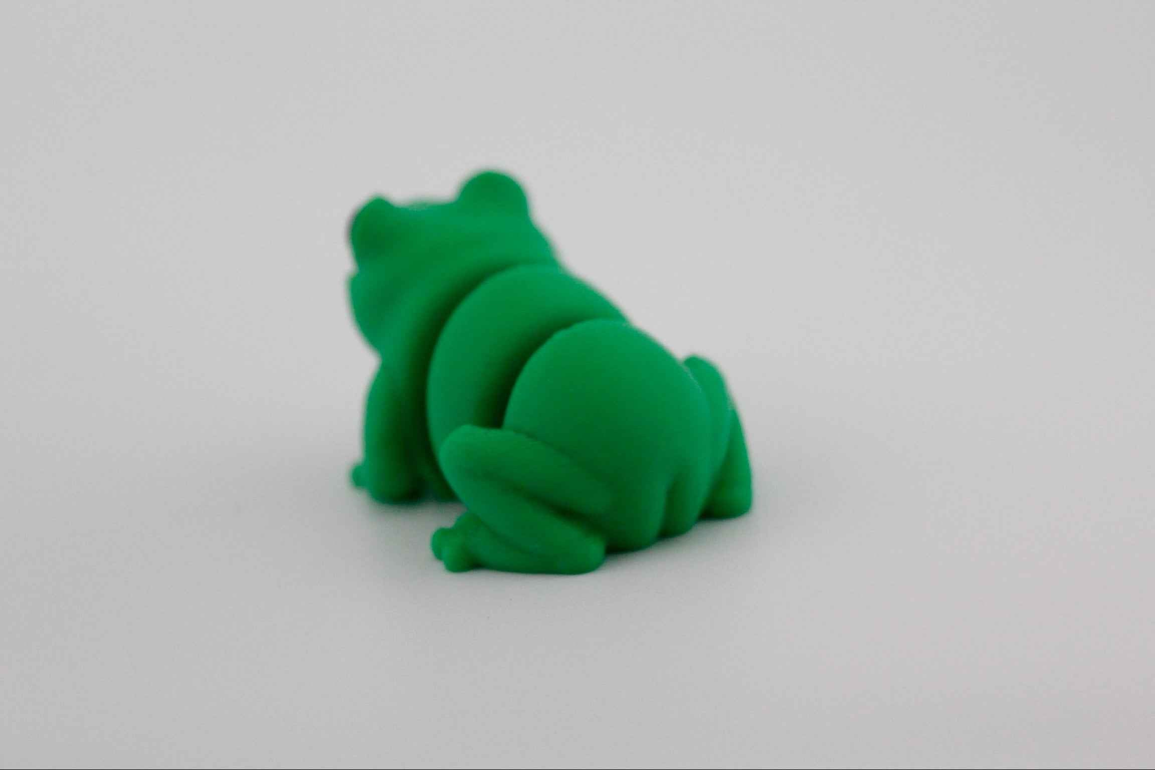 Frog Fidget - Your new pond side pal - Myth & Motion by The Braysdown Workshop