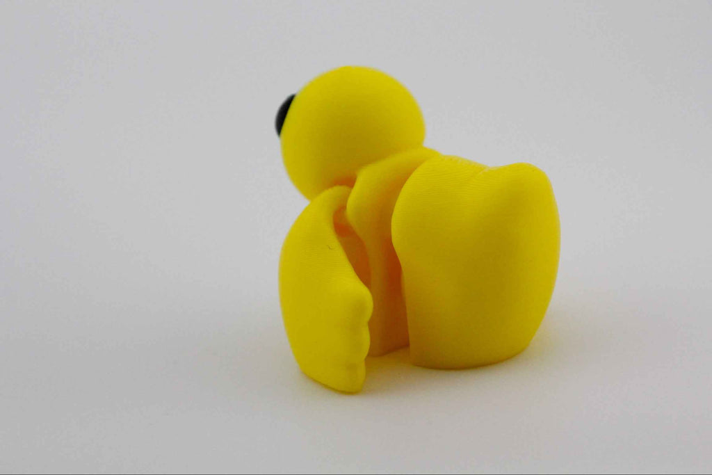 Duck Fidget - Pond life! - Myth & Motion by The Braysdown Workshop