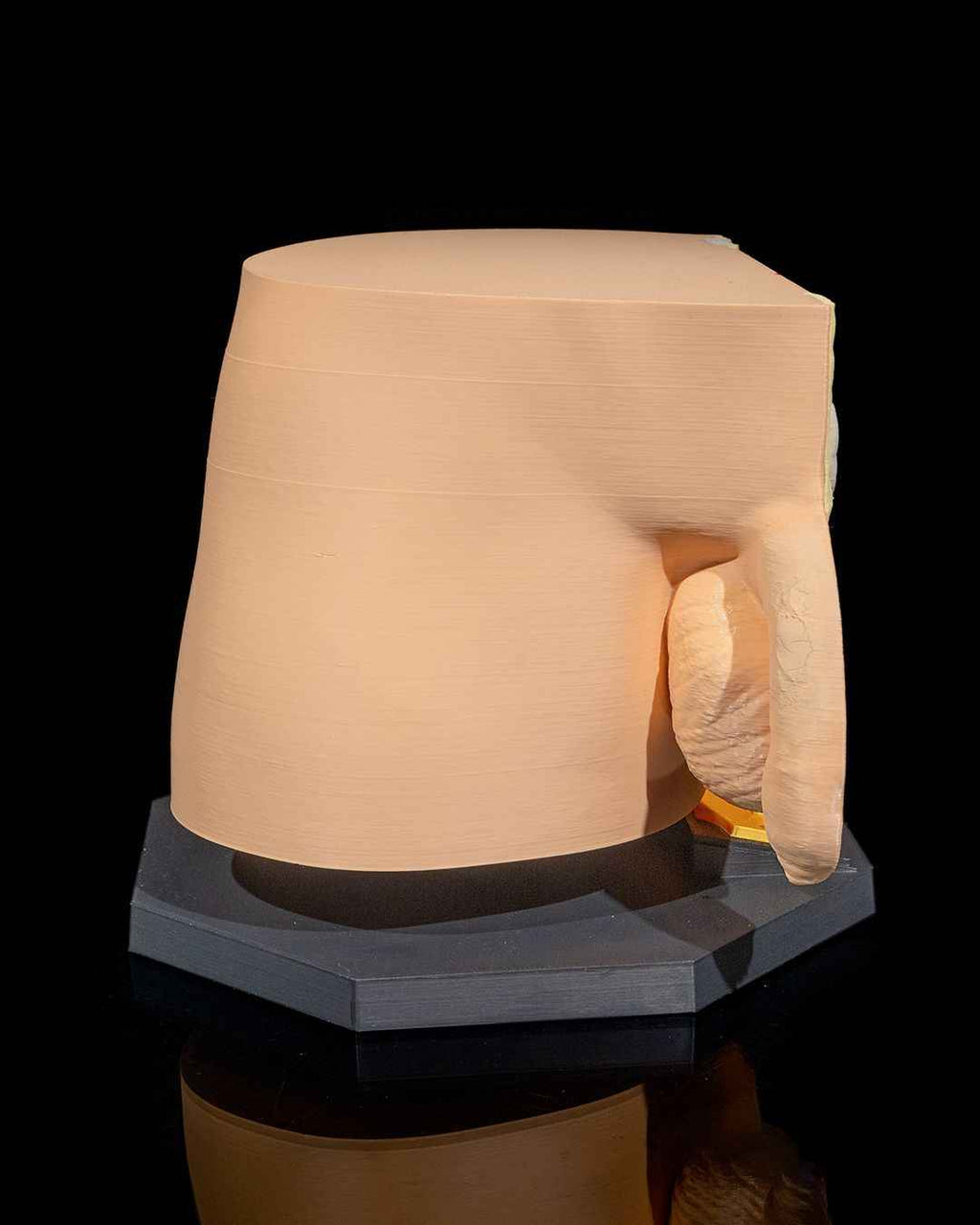 Male Reproduction educational model - Myth & Motion by The Braysdown Workshop