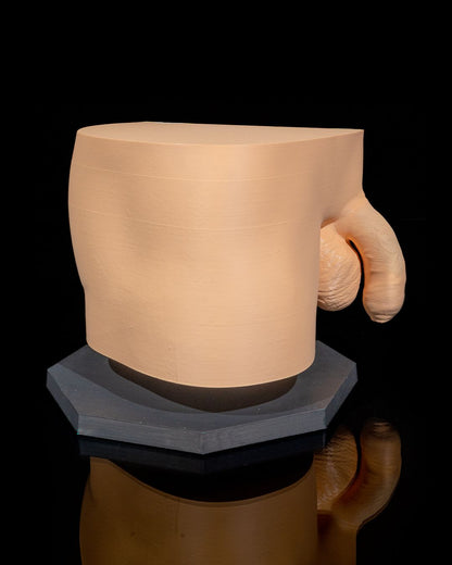 Male Reproduction educational model