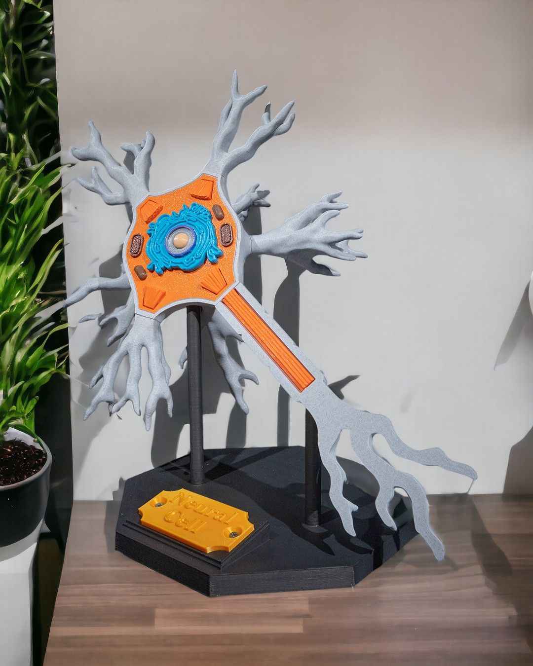 Neural educational model - Myth & Motion by The Braysdown Workshop